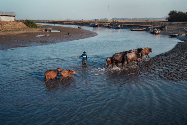Rural Passage: Bauphal’s Buffalo Trail thumbnail