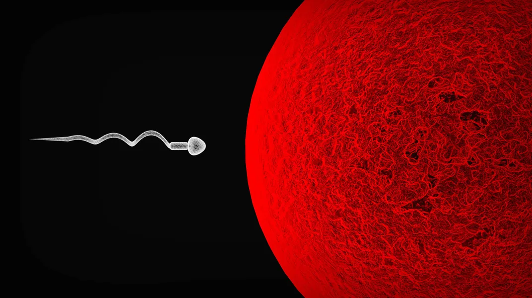 A single sperm versus a single egg isn’t an apt comparison.