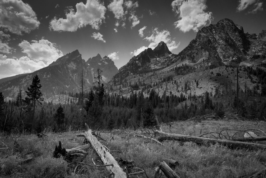 Old and New in Grand Teton National Park | Smithsonian Photo Contest ...