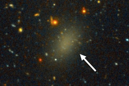 The dark galaxy Dragonfly 44