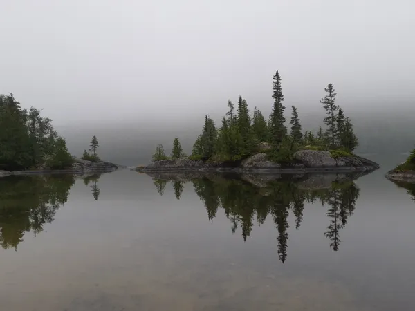 Reflection on a foggy morning thumbnail
