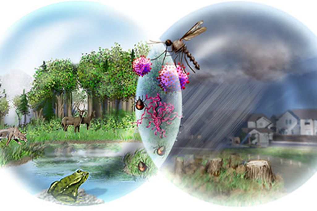 20110520102421biodiversity_loss1_h.jpg