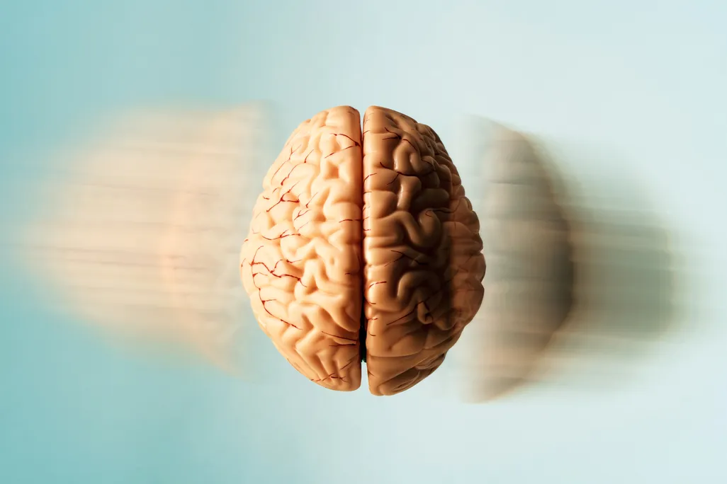 brain