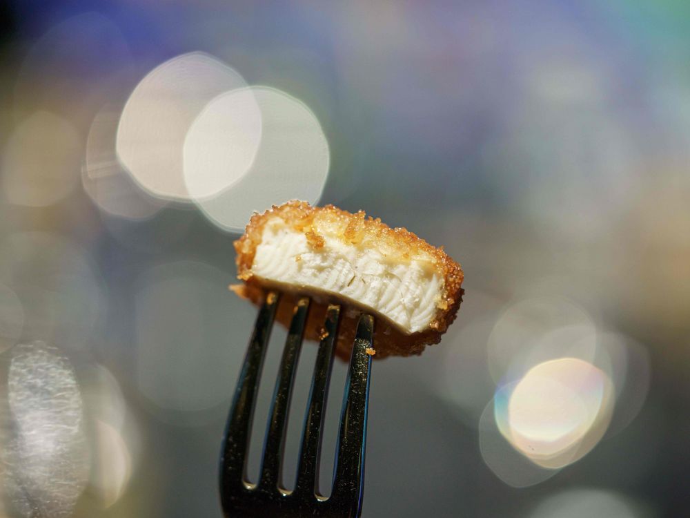 A chicken nugget made from cell-cultivated meat sits on a fork