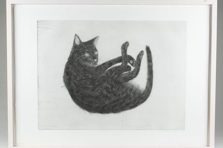 "Ginzer"
Kiki Smith, 2000
Aquatint, drypoint, and burnishing etching on paper.

Smith placed the corpse of her cat on the plate and traced the outline to produce the image of the etching before burying him to create the etching.