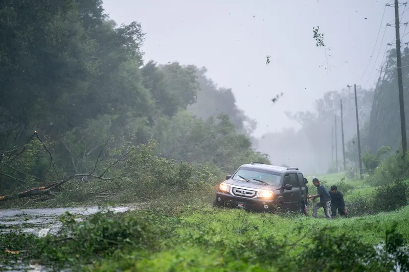 Felled tree causes a stuck car on the shoulder of a road