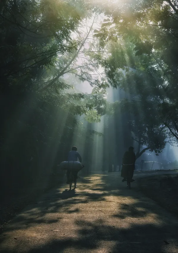 Where Light Finds Its Way thumbnail