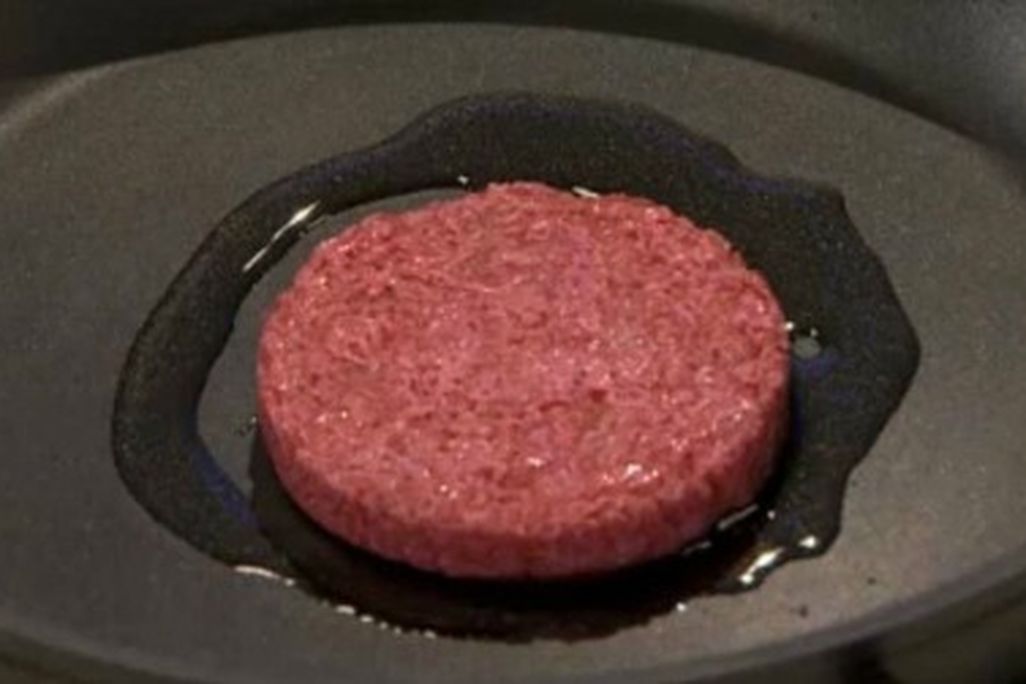 Are test-tube burgers transformative science?