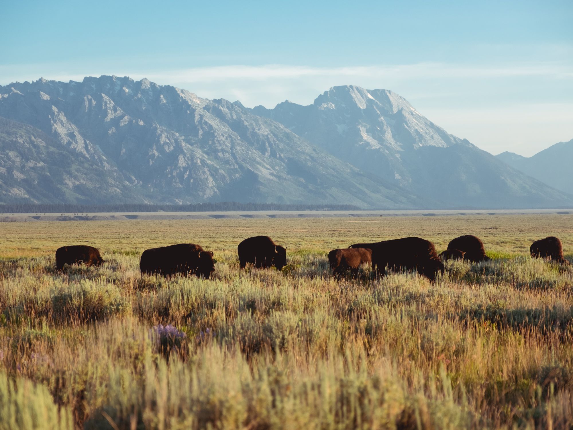Celebrate Indigenous Peoples’ Day With These Indigenous-Focused ...