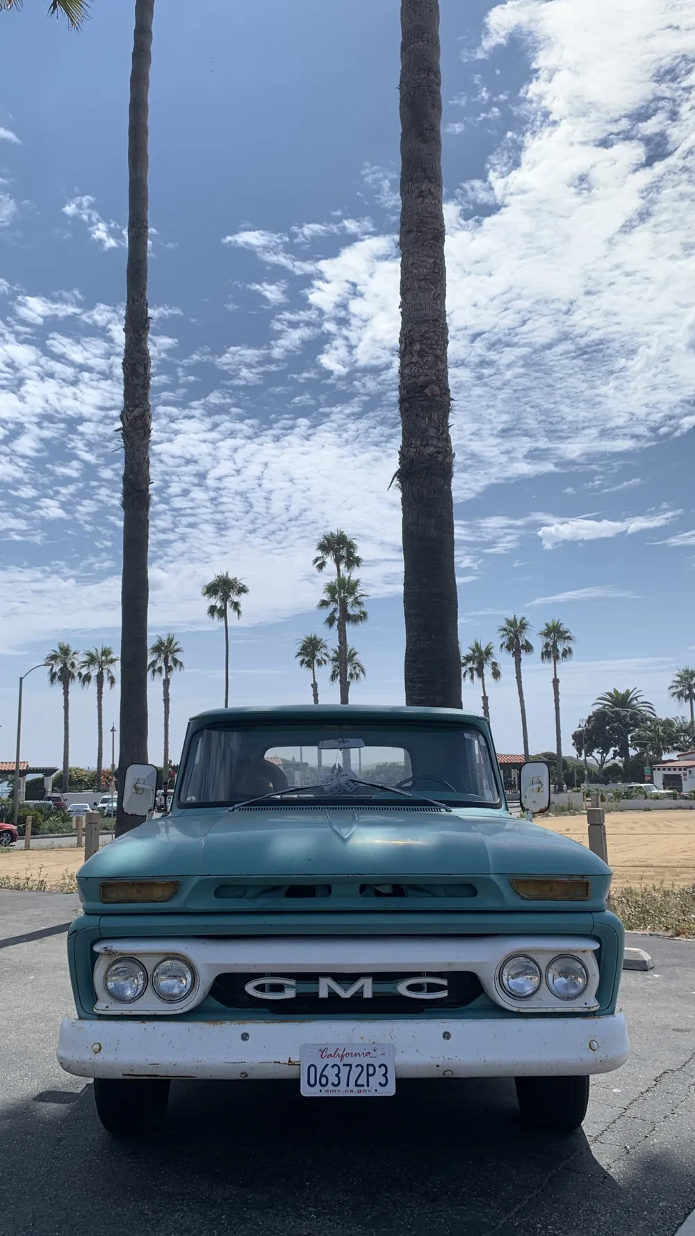 Driving up the coast sat a vintage GMC truck and a beautiful view of the palm tress behind it.
