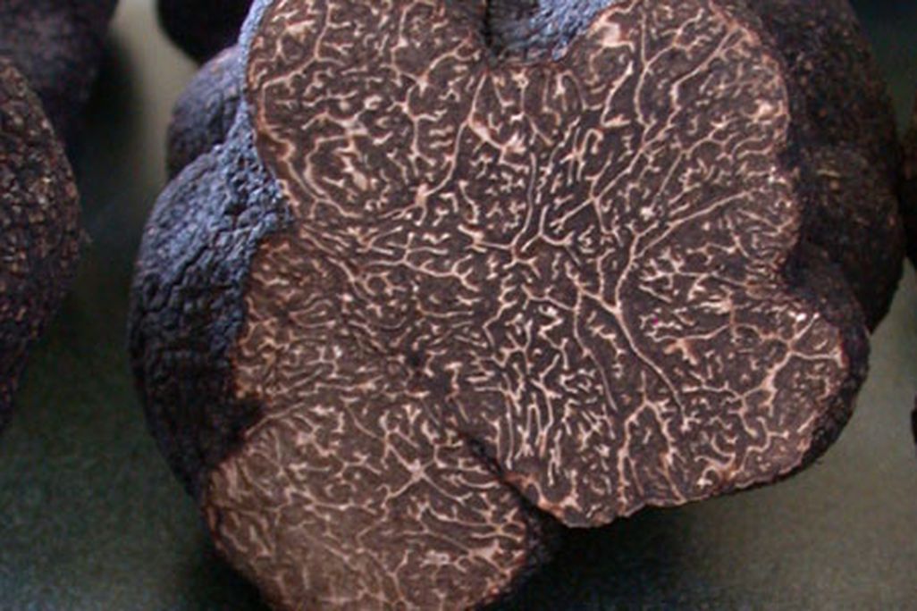 truffle631.jpg