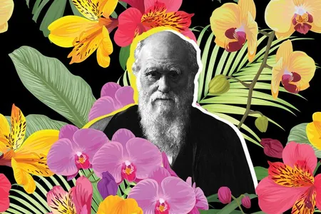 Though Charles Darwin is most famous for his voyage aboard the HMS Beagle and his theory of natural selection, the naturalist was, at heart, a botanist. 