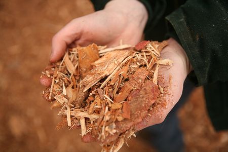 The process involves speeding up the fermentation of wood sugars. The resulting alcohol is then converted into jet fuel.