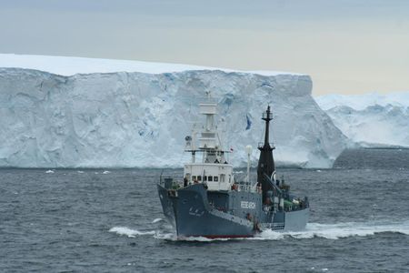 This Japanese vessel is supposedly researching whales in Australia—but opponents say it's just whaling under another name. 