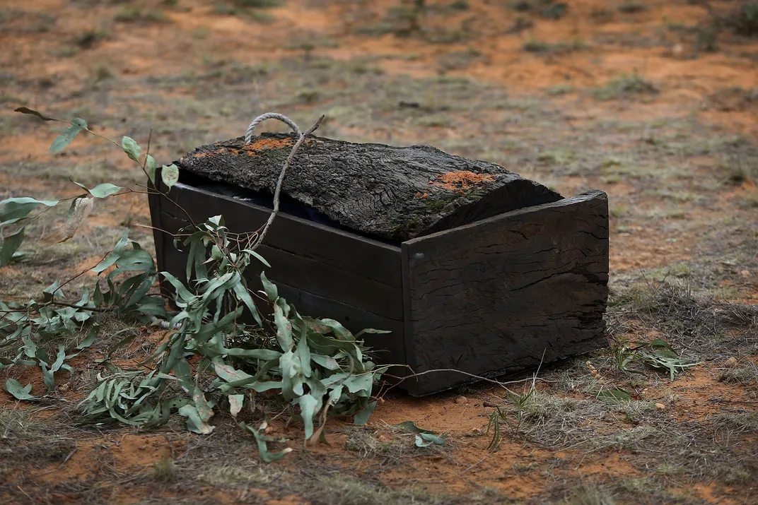 Red gum casket containing the remains of Mungo Man