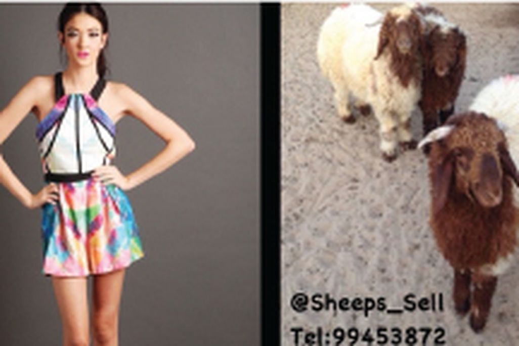 All things you can buy on Instagram.