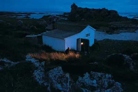 Entrepreneur Geoff King has created a unique restaurant on the edge of Tasmania where visitors pay to watch wild devils tear into a meal.