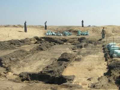 Researchers study burial sites like the Falcon Necropolis at Quesna to learn more about ancient Egyptian culture and biodiversity. The site is protected by the Egyptian Ministry of Tourism and Antiquities. (Joanne Rowland)