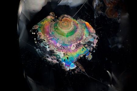 This multicolored lily pad is actually a bloom of the iron-based mineral hematite in Brazilian quartz.