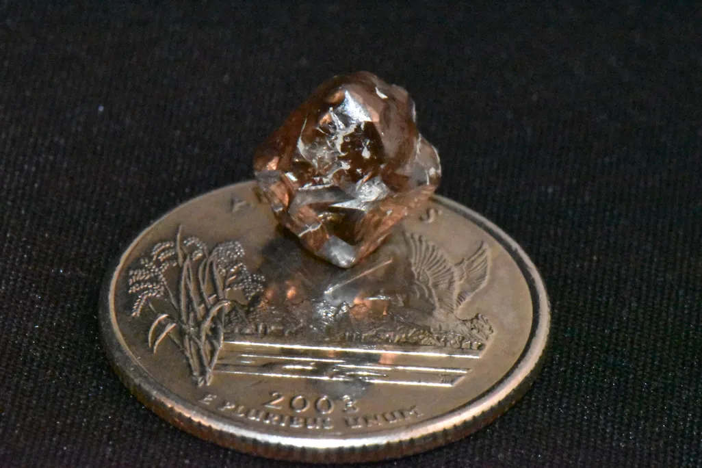 Brown gem sitting atop a coin