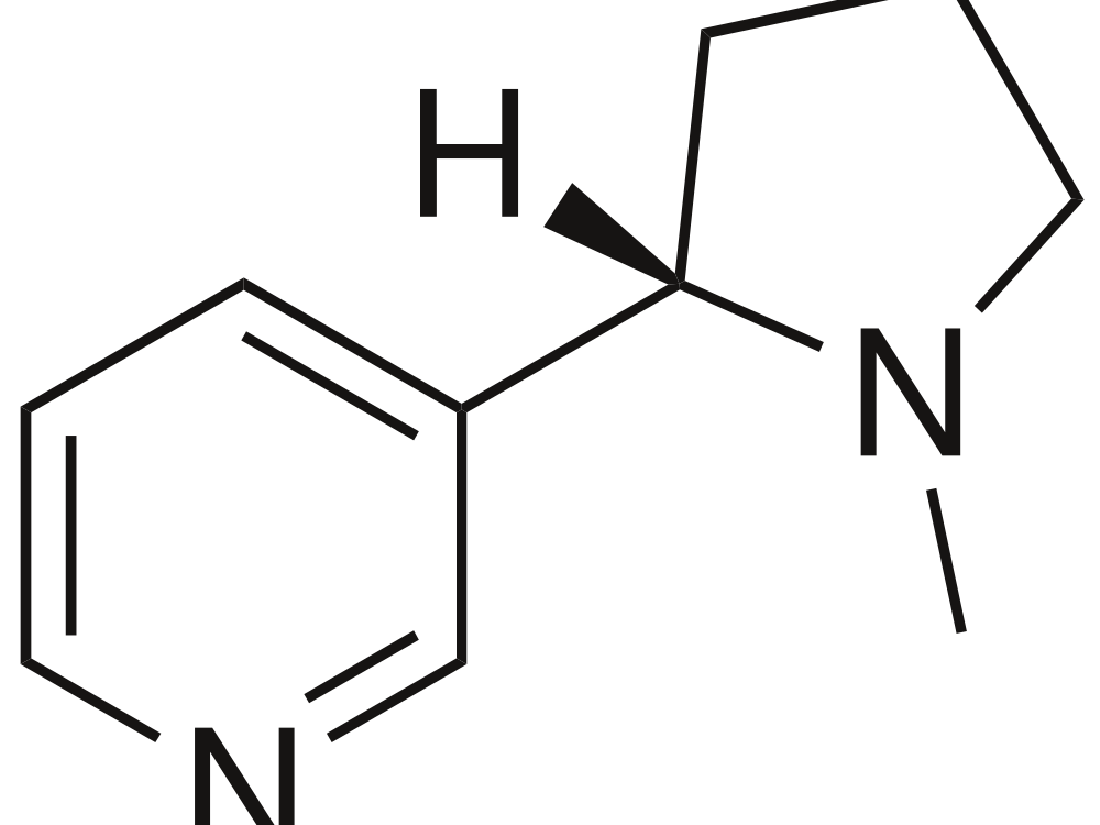 Feeding on Nicotine