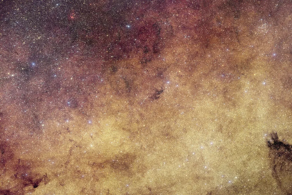 Euclid's view of the Milky Way's center, containing millions of densely-packed gold and purple stars