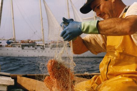 The Boquera brothers (above, Fèlix) are the fourth generation in their family to work the sea off the Costa Brava of Catalonia.