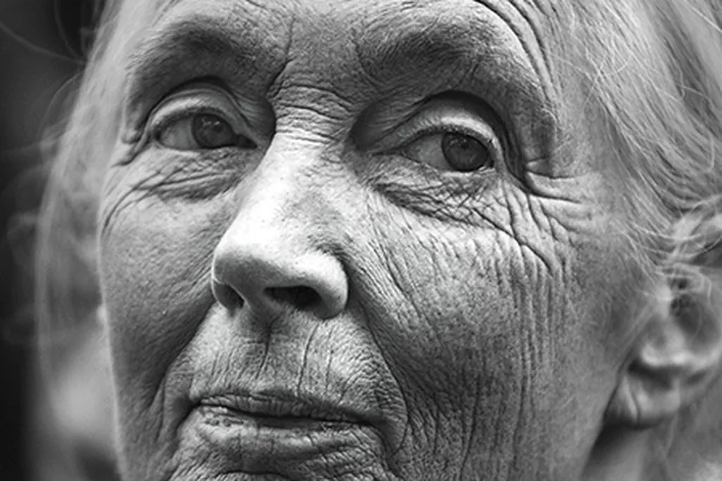 Jane Goodall