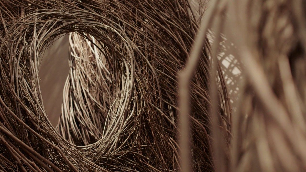 Preview thumbnail for The Renwick Gallery Opens