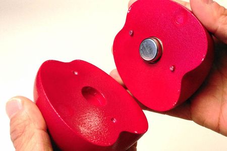 One of Empa's temperature sensors in the shape of a Braeburn apple