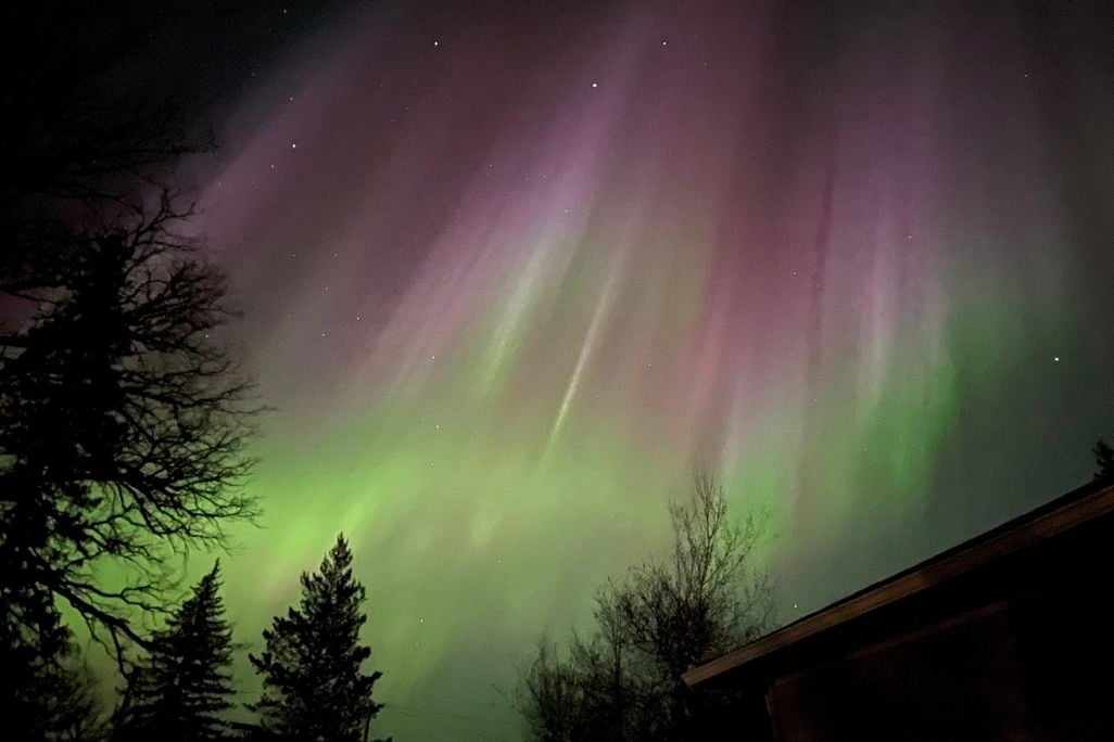 green, white and purple glowing lights stretch vertically into the sky above silhouettes of trees