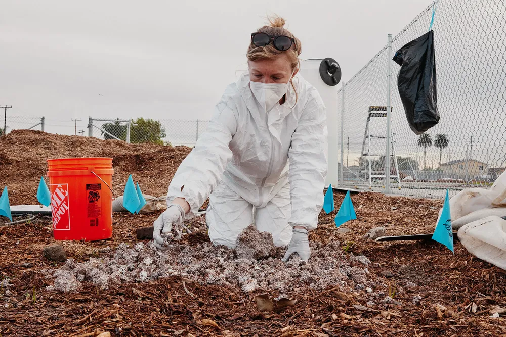 Environmental Toxicologist Danielle Stevenson