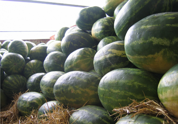 Watermelons