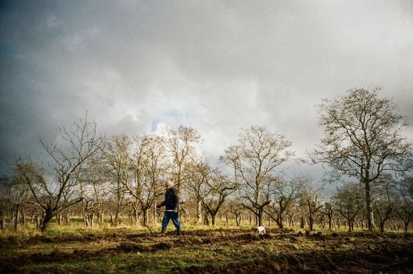 Verner and Emma in the Field thumbnail