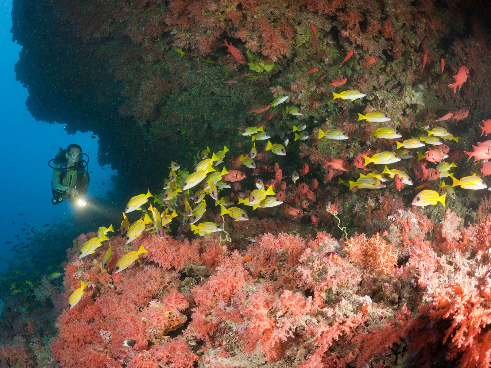 Oceanographers discover big underwater waves