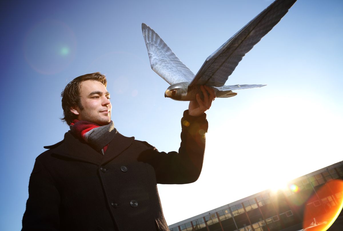 What the Heck is a Robobird?