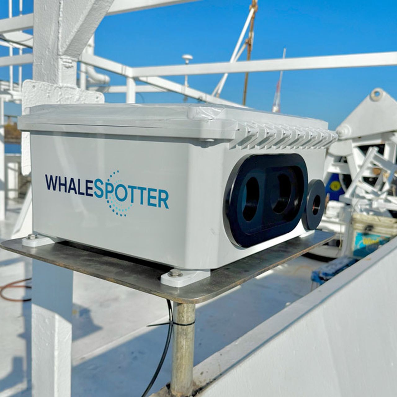 Gray Whales Are Getting Struck by Ships in San Francisco Bay. Could This New A.I.-Powered Tech Save Them? — GLOBAL — Aslikannih