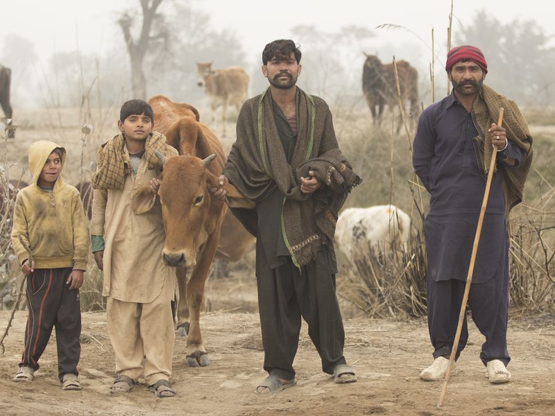 Nomads Smithsonian Photo Contest Smithsonian Magazine