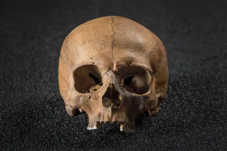 One skull found showed evidence of a gruesome, violent death