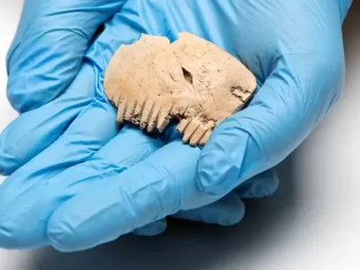 Ancient Comb Made From Human Skull Unearthed in England image