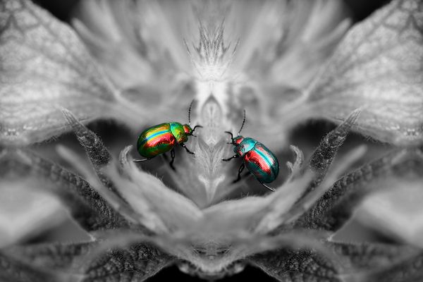 Only We... thumbnail