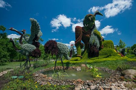 The city of Shanghai presents A True Story (above), an impressive work of mosaïculture, at Mosaïcultures Internationales de Montréal 2013.