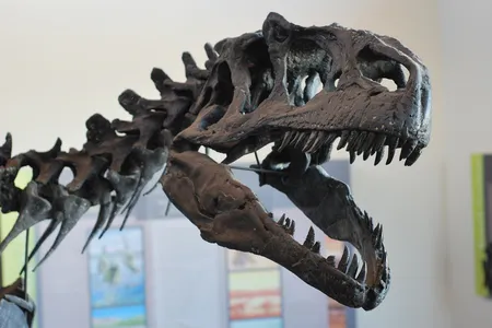The Allosaurus was a true terror of the Jurassic world.