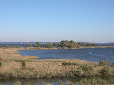 Tidal wetlands of the Chesapeake Bay