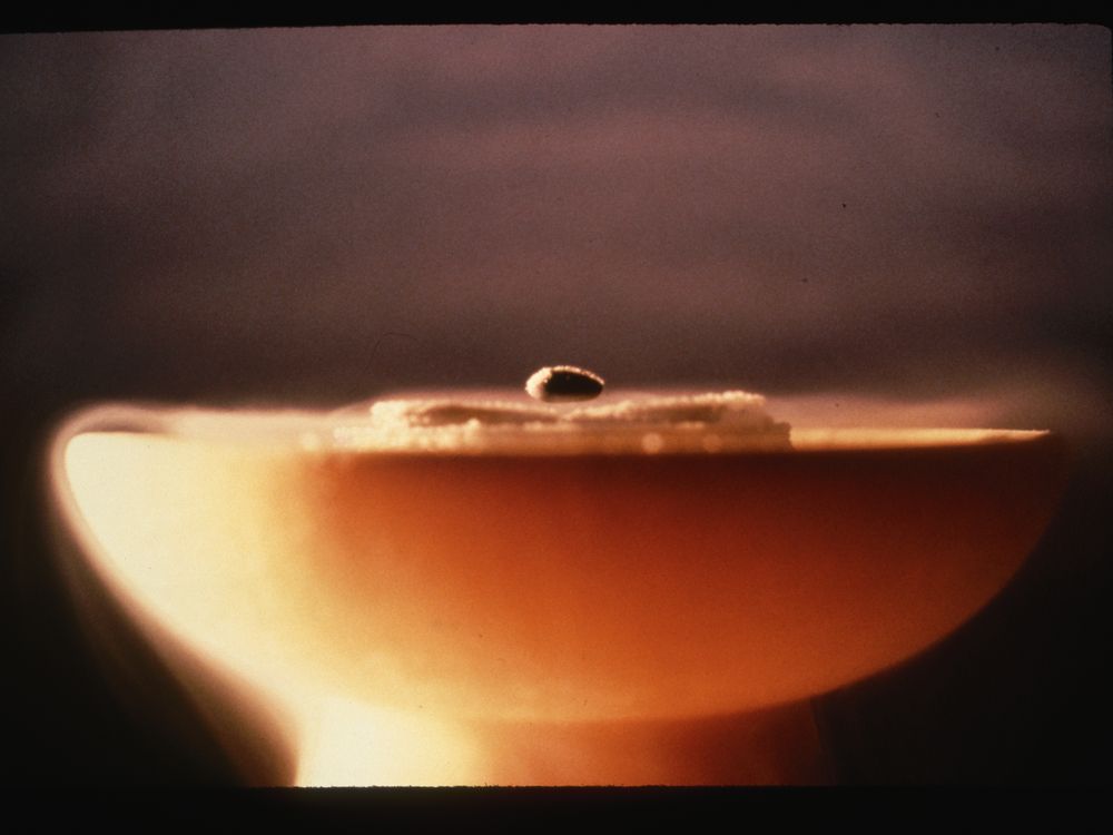 A magnet levitating over a low-temperature superconductor