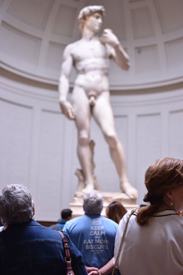 Michelangelo's David thumbnail