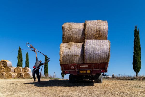 The Bale Trucker thumbnail