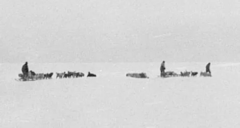 Mawson's Far Eastern Party