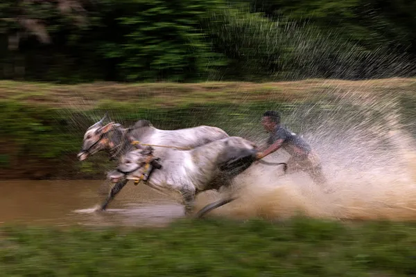 Thrill in the Mud thumbnail