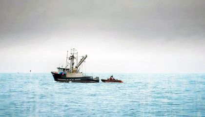 How A.I. Is Revolutionizing Marine Conservation